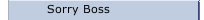 Sorry Boss