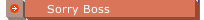 Sorry Boss